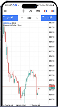 Forex Trading Platform